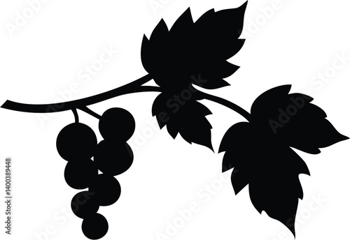 Black Grapes Silhouette with Leaves on a Branch Against White Background