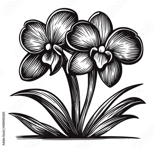 Elegant Woodcut Design Featuring Two Beautiful Orchid Flowers