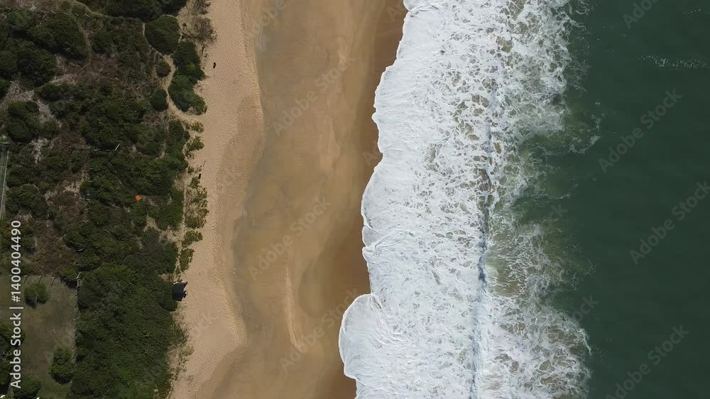 Where tropical shores meet towering skylines – a coastal paradise shaped by sun, sea, and style Where tropical shores meet towering skylines – a coastal paradise shaped by sun, sea, and style