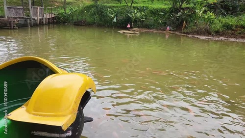 A boy riding the gellow and green pedal boats on the pond full of fish in Bogor, Indonesia. Number 1 (one) written on the boat.