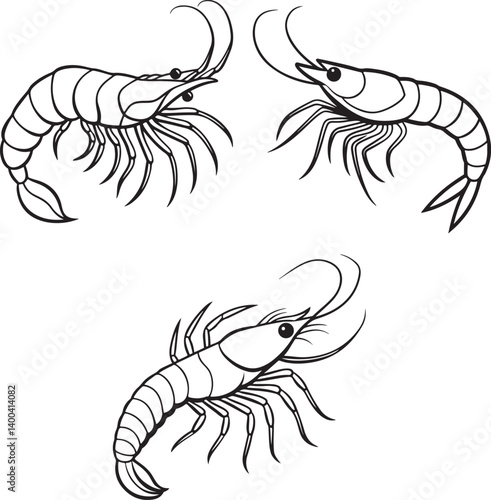Line art shrimp fish image set