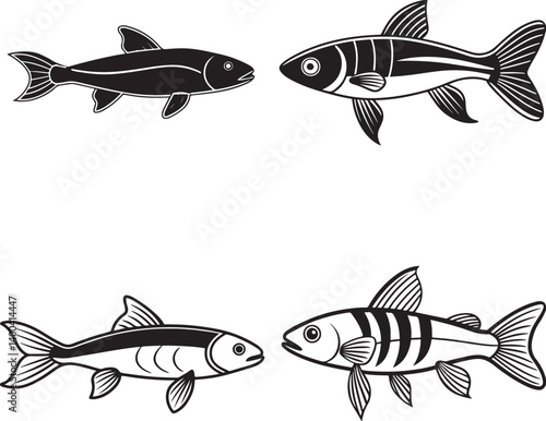 silver, sing danio, spadefish and stinging line art design