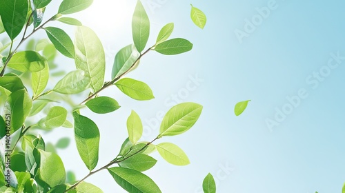 Wallpaper Mural Green leaves rustling in the breeze nature scene serenity outdoor close-up freshness Torontodigital.ca