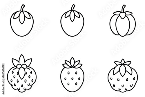 goldenberry line art vintage aesthetic superfood plant artwork