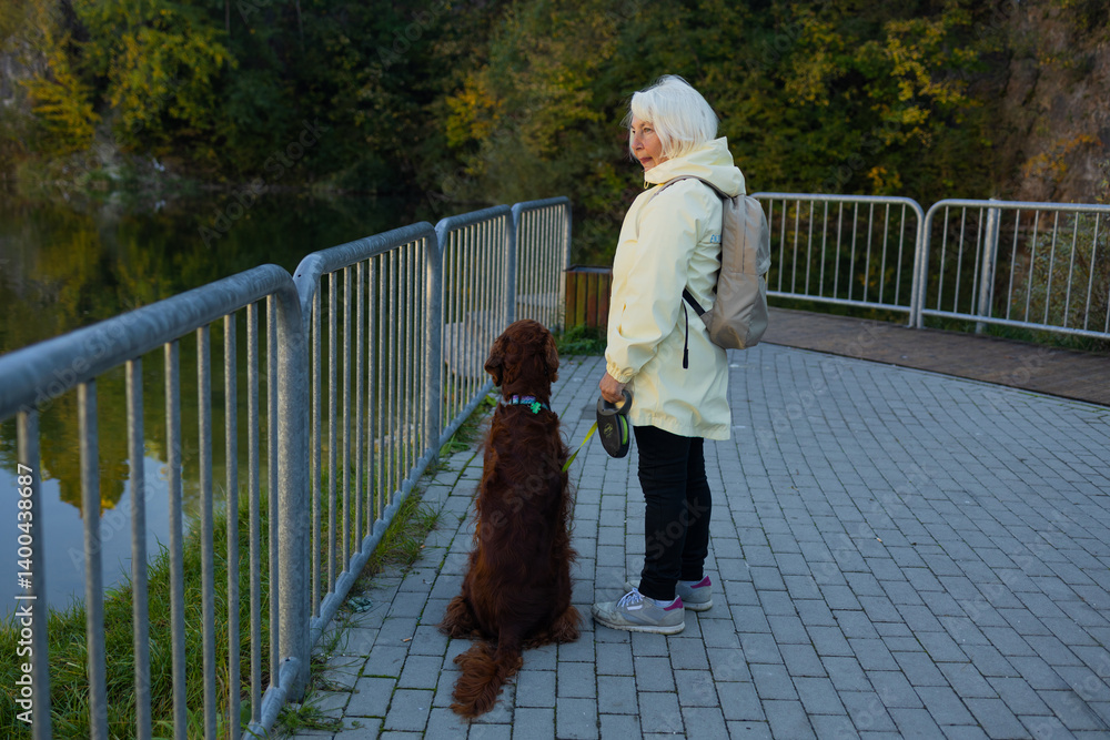 Senior 60s woman crossbreed looking out over a lake with her best friend irish setter dog wear casual clothes in the autumn forest.
