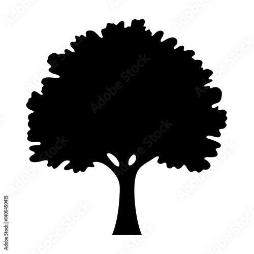Elegant silhouette of a mature deciduous tree with full, rounded foliage