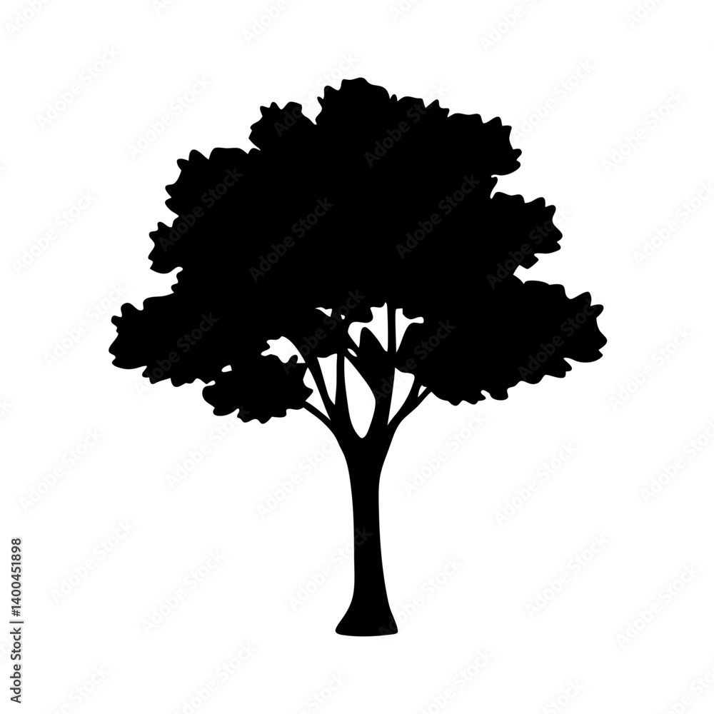 Fototapeta premium elm tree silhouettes - black elm tree, isolated transparent background