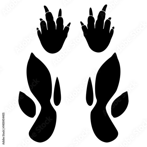 kangaroo footprint, Australian animal kangaroo foot paw. 