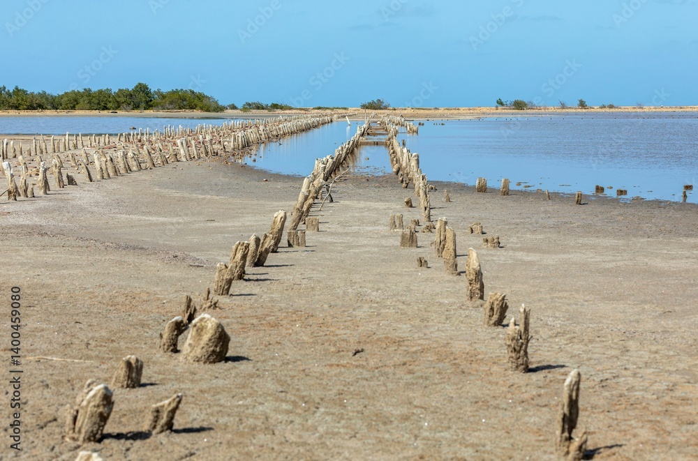 Fototapeta premium Salt Evaporation Pond with Wooden Posts