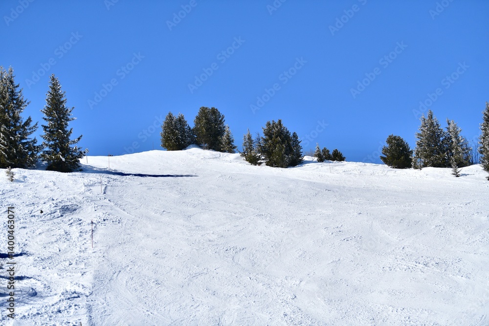 Fototapeta premium Scenery of French alps slopes by winter