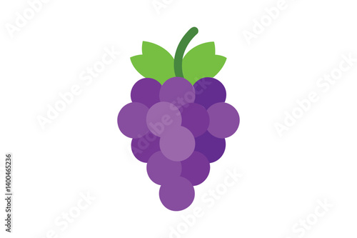 Grape vector on white background