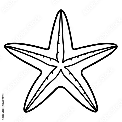 Minimalist Starfish Line Art Vector
