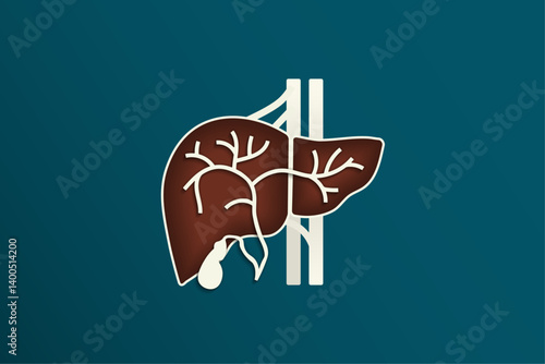 Gallbladder and cystic duct illustration with concaved liver anatomy with outline on green background. Plain Aorta and hepatic vein behind liver. Simple liver anatomy template with copy space. Vector