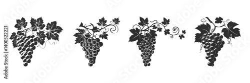 Grape Vine Silhouettes Set. Elegant Vineyard And Wine Theme Isolated Vector Illustration Collection