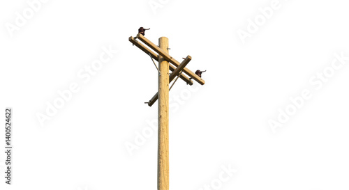 Konstfotografi Isolated Wooden Utility Pole