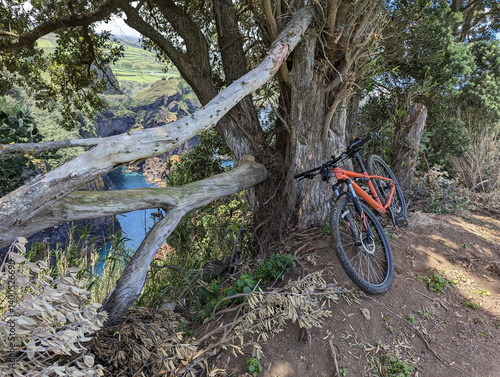 Active Azores: Orange Bike Resting by a Cliffside Tree in Sao Miguel