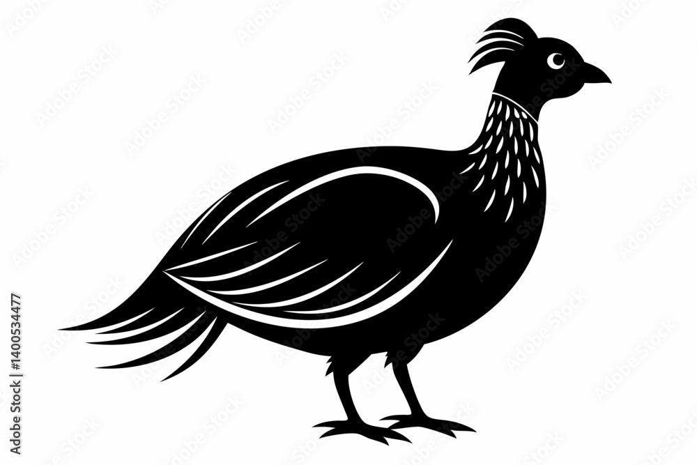 Fototapeta premium Temminck's tragopan silhouette black vector