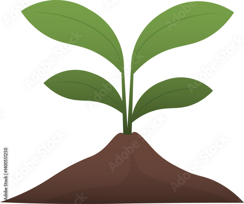 Simple Vector of a Young Plant Seedling with Green Leaves Growing from Soil