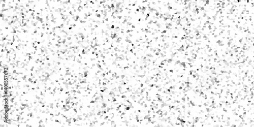 Terrazzo flooring texture polished stone pattern old pebble stones wall texture background. Silver Explosion Of Confetti. Modern with marble texture quartz surface bathroom or kitchen countertop.