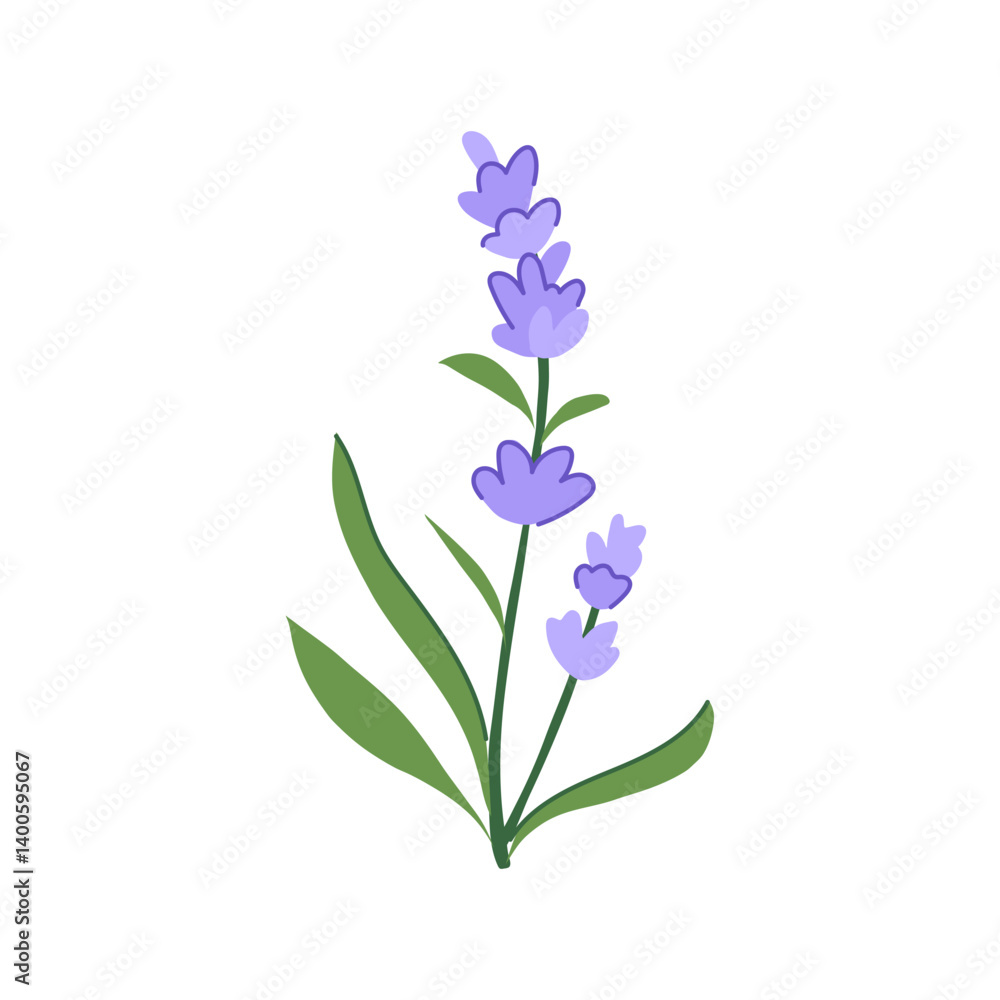 soothing lavender cartoon vector illustration soothing lavender cartoon vector illustration