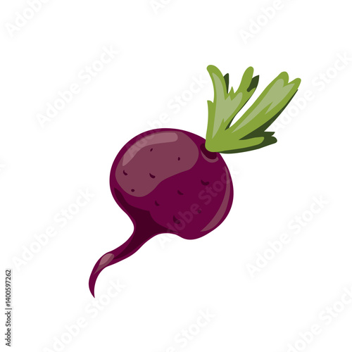 beet illustration 