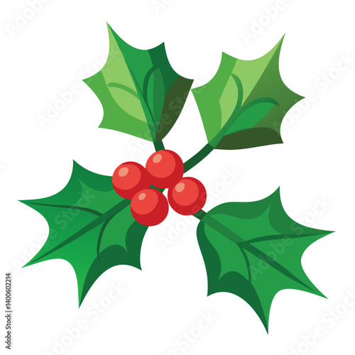 Christmas mistletoe isolated on white background