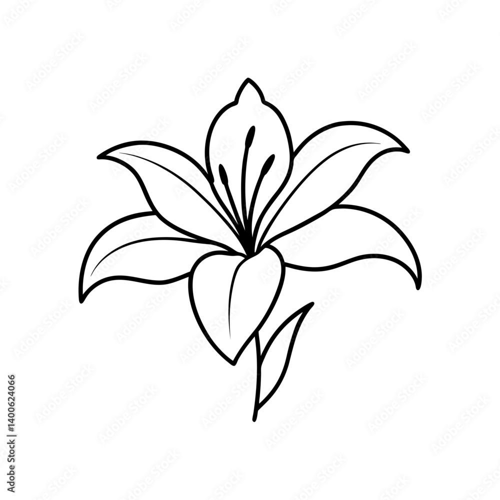 Fototapeta premium Lily flower bold line art vector illustration