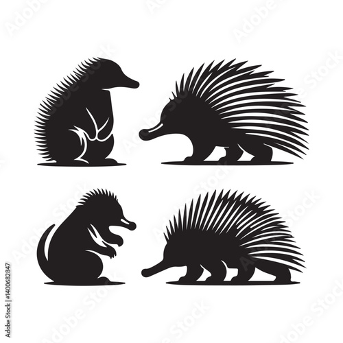 vector illustration of a Porcupine
