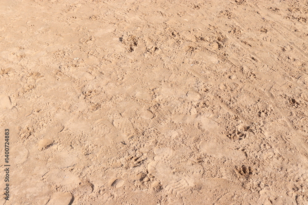 Beach Sand Ripples Natural Texture Background Beach Sand Ripples Natural Texture Background