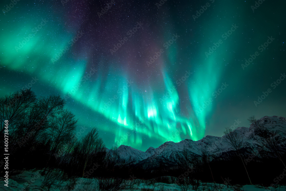 Captivating Nightscape of Northern Lights over Frosty Pines Captivating Nightscape of Northern Lights over Frosty Pines