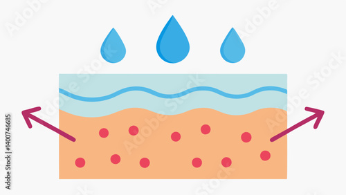 Hydrated Skin An illustration showing plump hydrated skin with arrows indicating moisture retention enhanced by collagen and elastin.