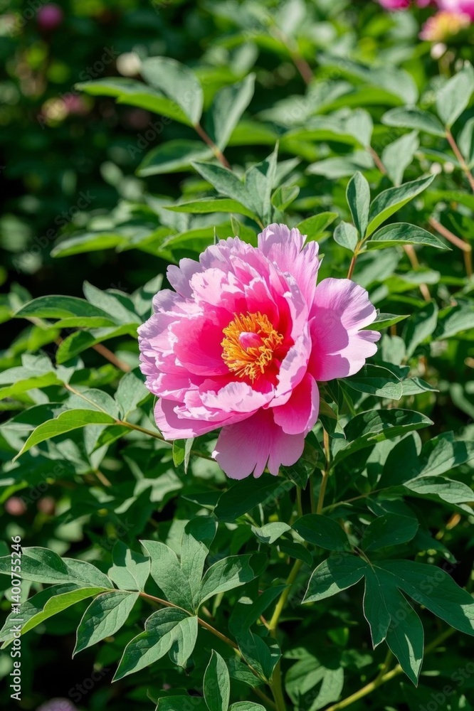 there is a pink flower that is growing in the bushes
