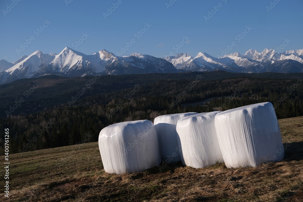 Stack of white plastic bale of hay on field. Blue sky and snowy mounains in background. Pass over Lapszanka, Tatras, Poland