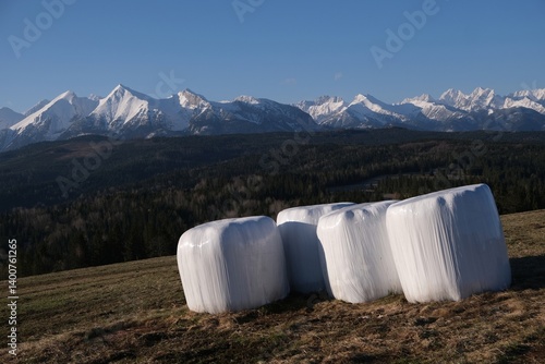 Obraz na płótnie Stack of white plastic bale of hay on field. Blue sky and snowy mounains in background. Pass over Lapszanka, Tatras, Poland w salonie
