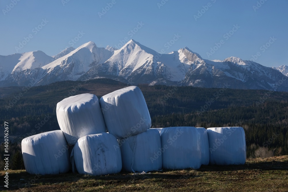 Stack of white plastic bale of hay on field. Blue sky and snowy mounains in background. Pass over Lapszanka, Tatras, Poland