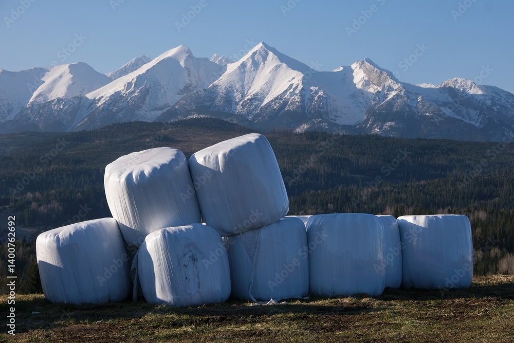 Stack of white plastic bale of hay on field. Blue sky and snowy mounains in background. Pass over Lapszanka, Tatras, Poland