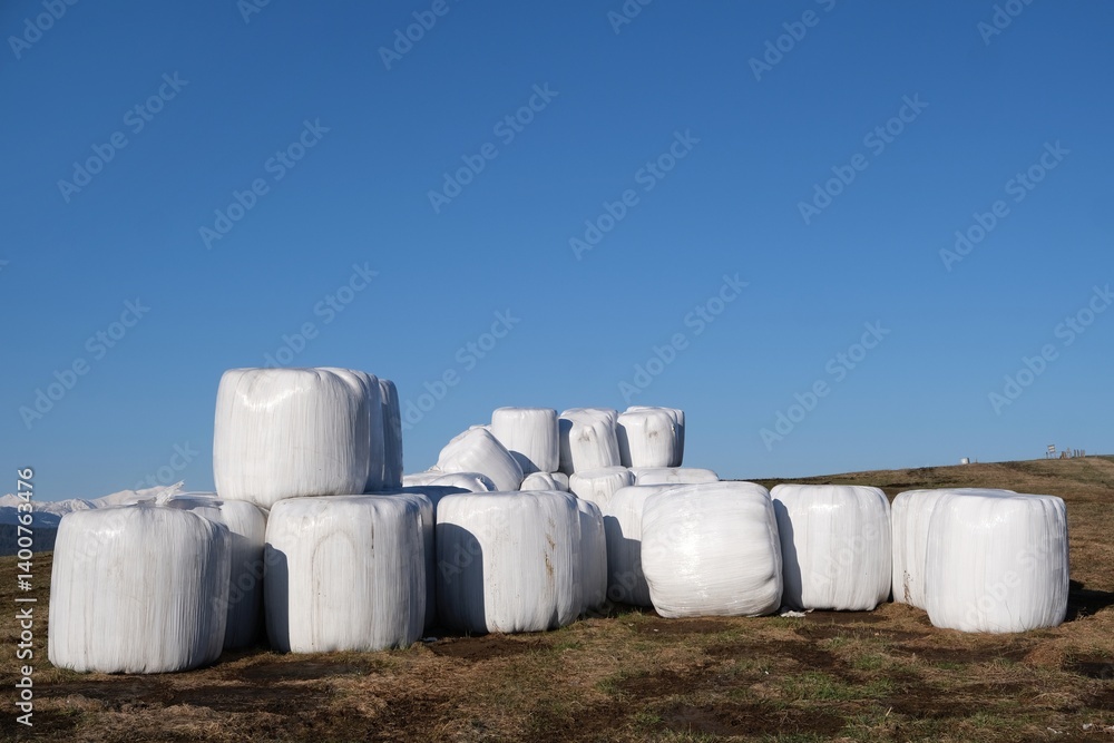 Stack of white plastic bale of hay on field. Blue sky and snowy mounains in background. Pass over Lapszanka, Tatras, Poland