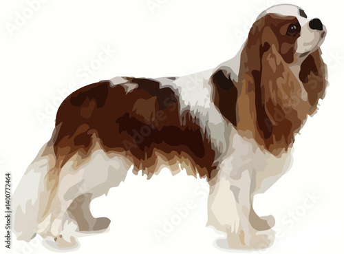 Vector Illustration of a Cavalier King Charles Spaniel Dog Standing in Side View