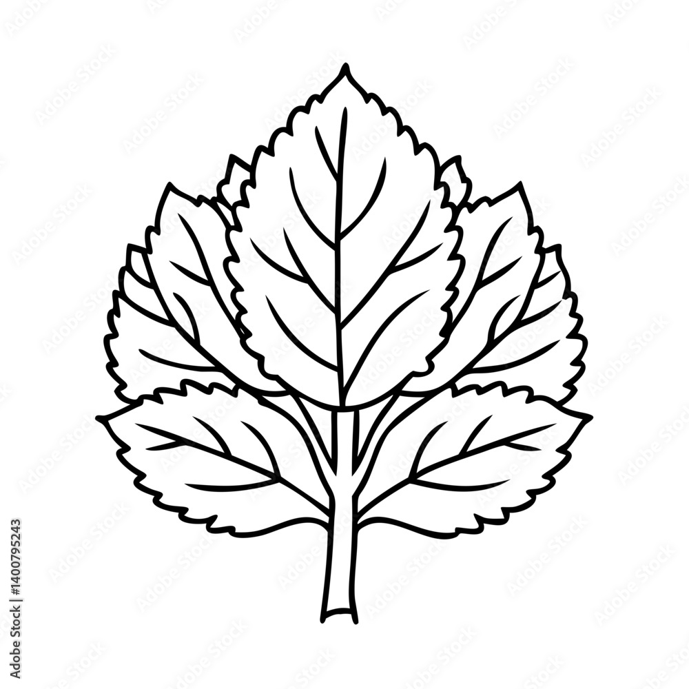 Obraz premium beech tree icon, beech tree vector illustration-simple illustration of beech tree, perfect for beech tree logos and icons