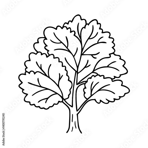 beech tree icon, beech tree vector illustration-simple illustration of beech tree, perfect for beech tree logos and icons