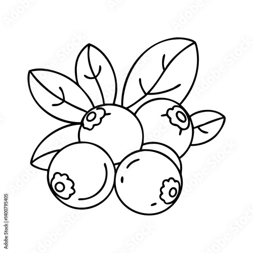 bilberry icon, bilberry vector illustration-simple illustration of bilberry, perfect for bilberry logos and icons