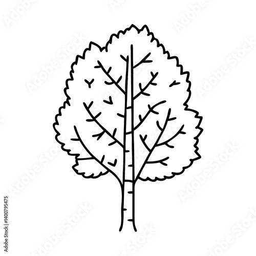 birch tree icon, birch tree vector illustration-simple illustration of birch tree, perfect for birch tree logos and icons