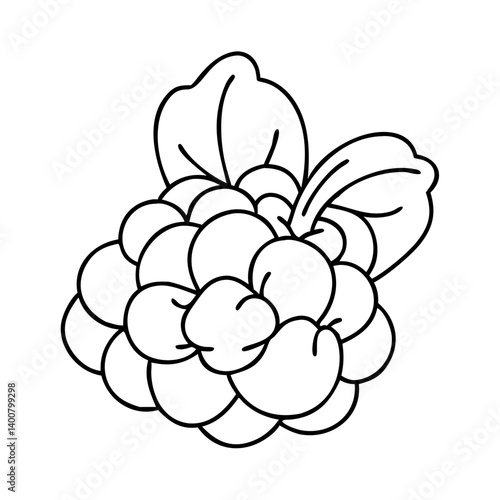 cloudberry fruit icon, cloudberry fruit vector illustration-simple illustration of cloudberry fruit, perfect for cloudberry fruit logos and icons