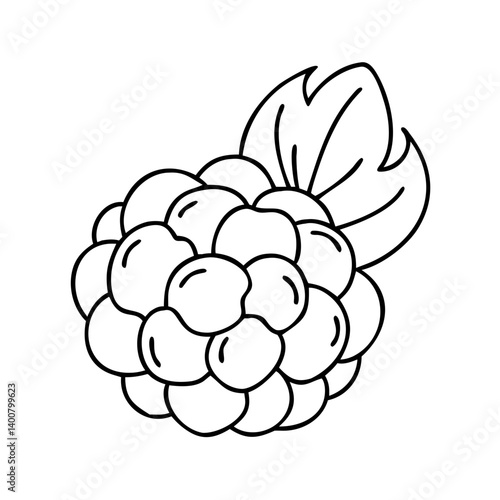 cloudberry fruit icon, cloudberry fruit vector illustration-simple illustration of cloudberry fruit, perfect for cloudberry fruit logos and icons