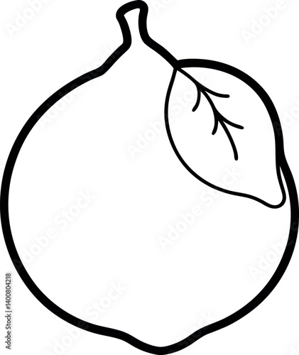 etrog line art vector icon on transparent background