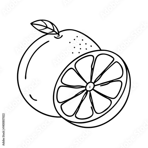 grapefruit icon, grapefruit vector illustration-simple illustration of grapefruit, perfect for grapefruit logos and icons