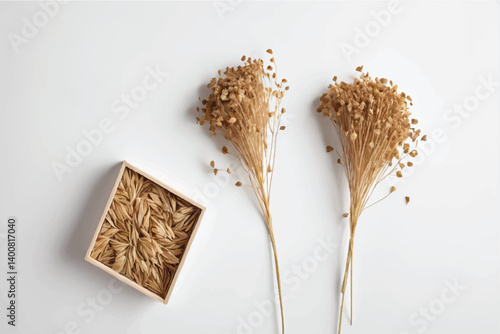 Dried flax flowers, linseed boxes isolated on white, background and texture, in scance