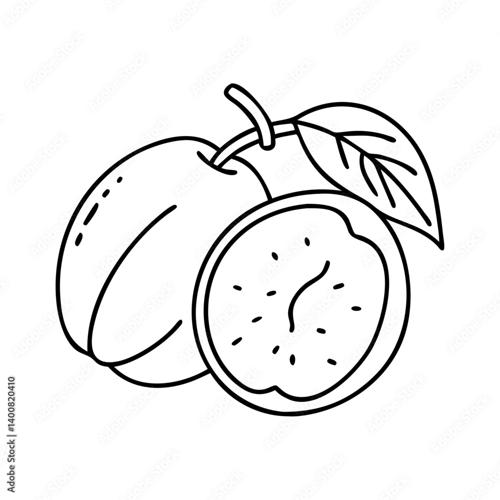 Obraz premium marula fruit icon, marula fruit vector illustration-simple illustration of marula fruit, perfect for marula fruit logos and icons
