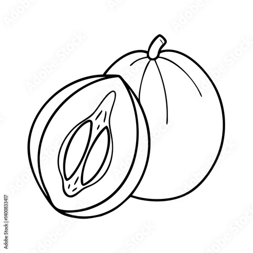 sapodilla fruit icon, sapodilla fruit vector illustration-simple illustration of sapodilla fruit, perfect for sapodilla fruit logos and icons