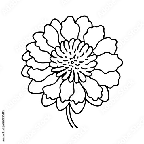 scabiosa flower icon, scabiosa flower vector illustration-simple illustration of scabiosa flower, perfect for scabiosa flower logos and icons